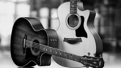 Časovi gitare Novi Sad - Brze žice