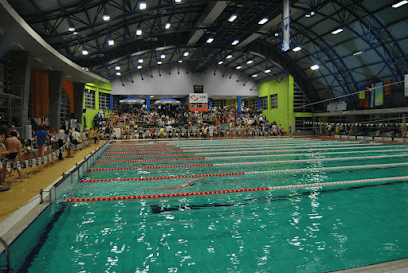 Plivački klub Novi Sad